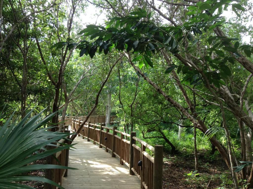 Mayan Palace Vidanta Resort Riviera Maya Пуерто Морелос Екстериор снимка